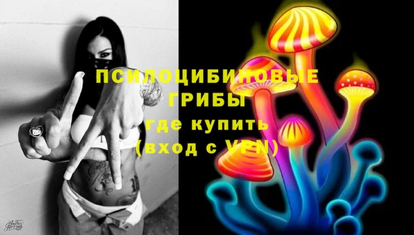 ПСИЛОЦИБИНОВЫЕ ГРИБЫ Лиски