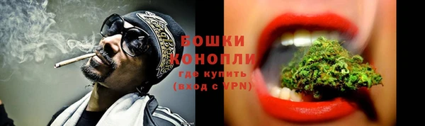 ПСИЛОЦИБИНОВЫЕ ГРИБЫ Лиски