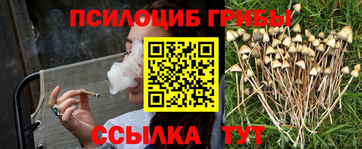 Галлюциногенные грибы GOLDEN TEACHER Чайковский