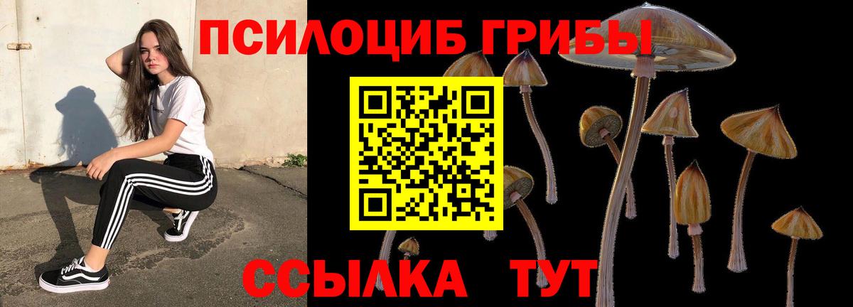 Псилоцибиновые грибы ЛСД  Галлюциногенные грибы Psilocybe  Чайковский  Вход с VPN 